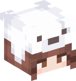 Minecraft head — People