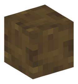 Minecraft head — Blocks