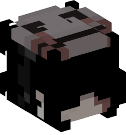 Minecraft head — People