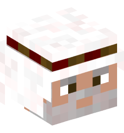 Minecraft head — People