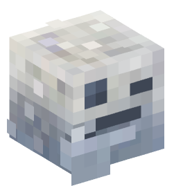 Minecraft head — Miscellaneous