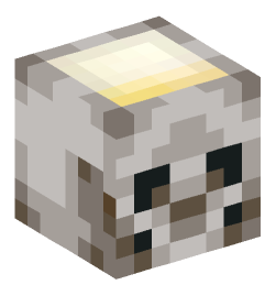 Minecraft head — Decor