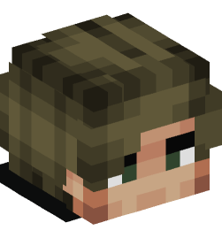 Minecraft head — People