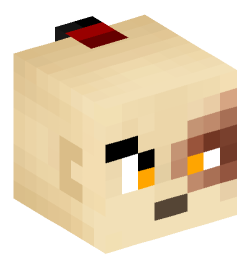 Minecraft head — People