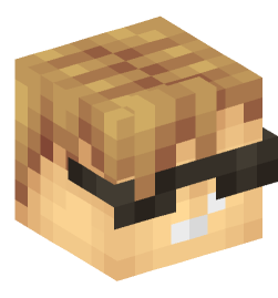 Minecraft head — People