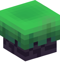 Minecraft head — Blocks