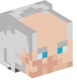 Minecraft head — People