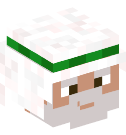 Minecraft head — People