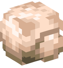 Minecraft head — Decor