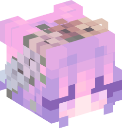 Minecraft head — People