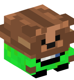 Minecraft head — Decor