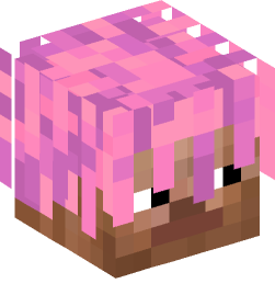 Minecraft head — People