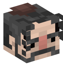 Minecraft head — People