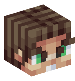 Minecraft head — People