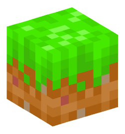 Minecraft head — Blocks