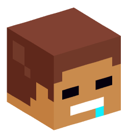 Minecraft head — Miscellaneous