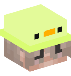 Minecraft head — People