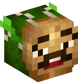 Minecraft head — People