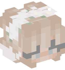 Minecraft head — People