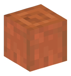 Minecraft head — Blocks