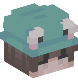 Minecraft head — People