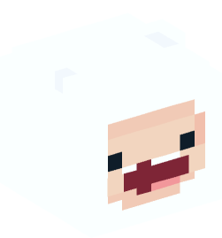 Minecraft head — People