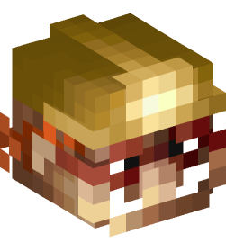 Minecraft head — People