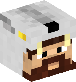 Minecraft head — People