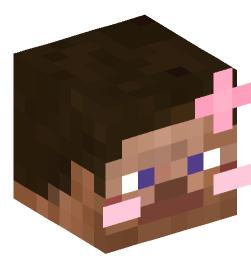 Minecraft head — People