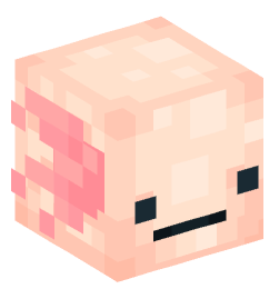 Minecraft head — Animals