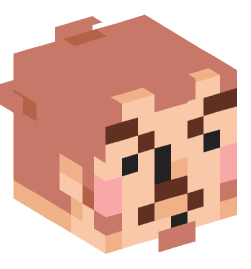 Minecraft head — People