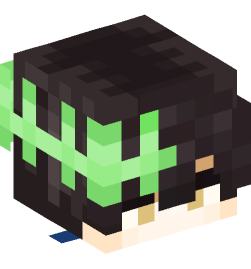 Minecraft head — People