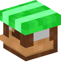 Minecraft head — Decor