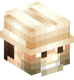 Minecraft head — People