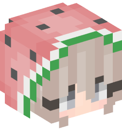 Minecraft head — People