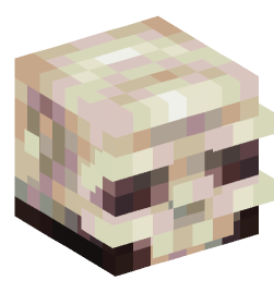 Minecraft head — Creatures