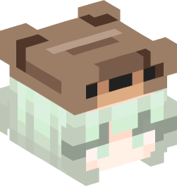 Minecraft head — People