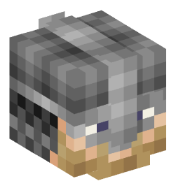 Minecraft head — People