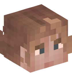 Minecraft head — People