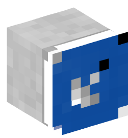 Minecraft head — Decor