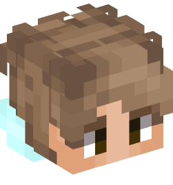 Minecraft head — People