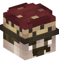 Minecraft head — People