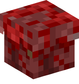 Minecraft head — Blocks