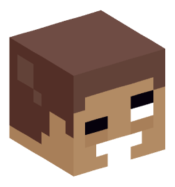 Minecraft head — Miscellaneous