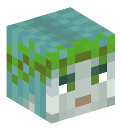 Minecraft head — Creatures