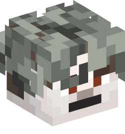 Minecraft head — People