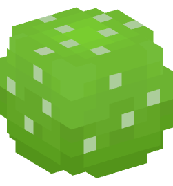 Minecraft head — Plants