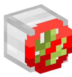 Minecraft head — Miscellaneous