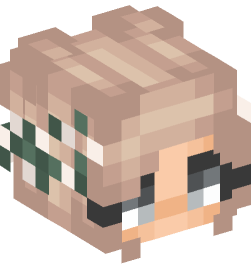 Minecraft head — People