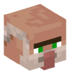 Head — Librarian Villager